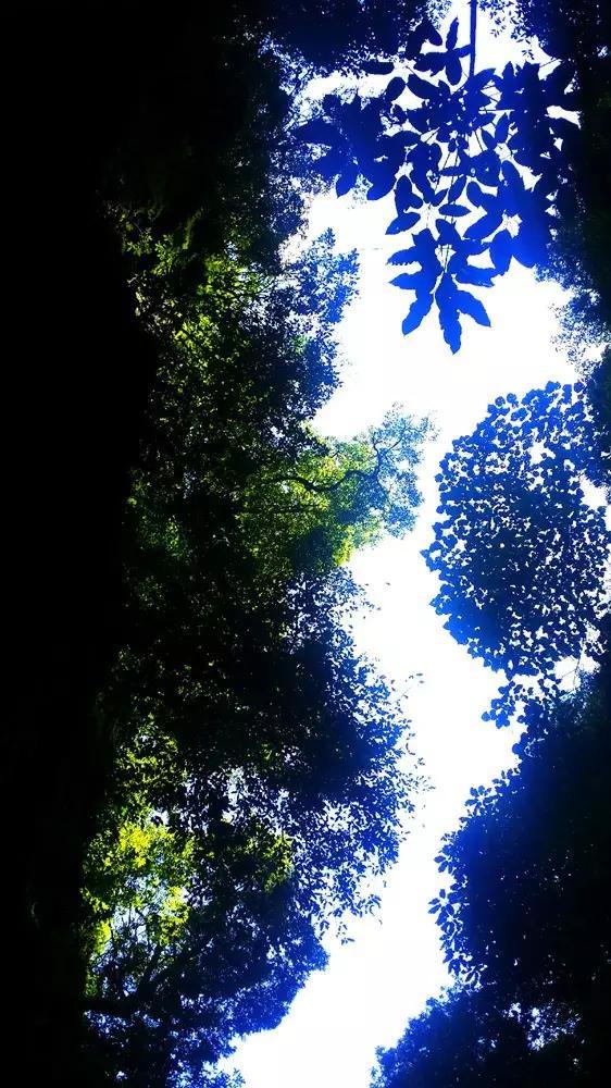 轩辕剑龙舞云山